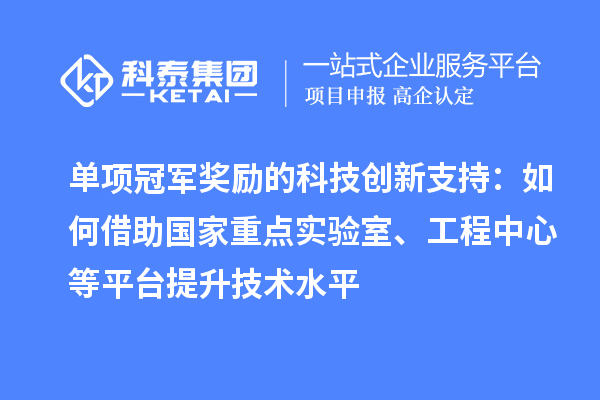 單項(xiàng)冠軍獎(jiǎng)勵(lì)的科技創(chuàng)新支持：如何借助國(guó)家重點(diǎn)實(shí)驗(yàn)室、工程中心等平臺(tái)提升技術(shù)水平
