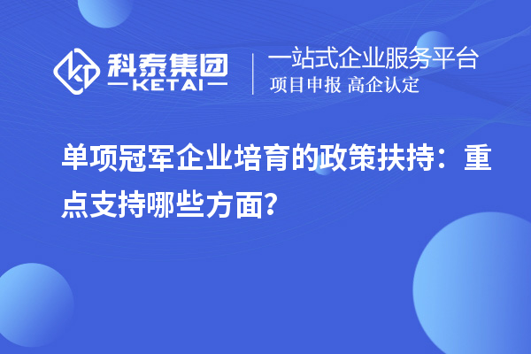 單項(xiàng)冠軍企業(yè)培育的政策扶持：重點(diǎn)支持哪些方面？