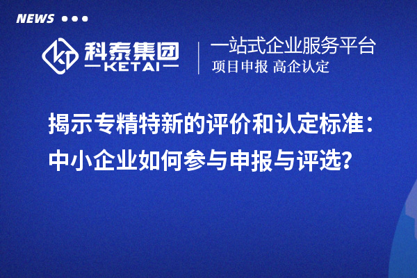 揭示專精特新的評價和認定標準：中小企業(yè)如何參與申報與評選？