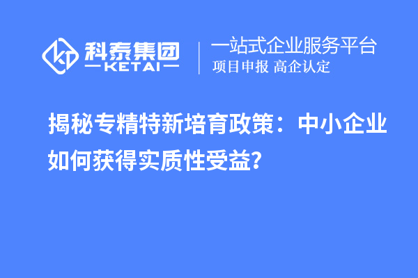 揭秘專精特新培育政策：中小企業(yè)如何獲得實(shí)質(zhì)性受益？