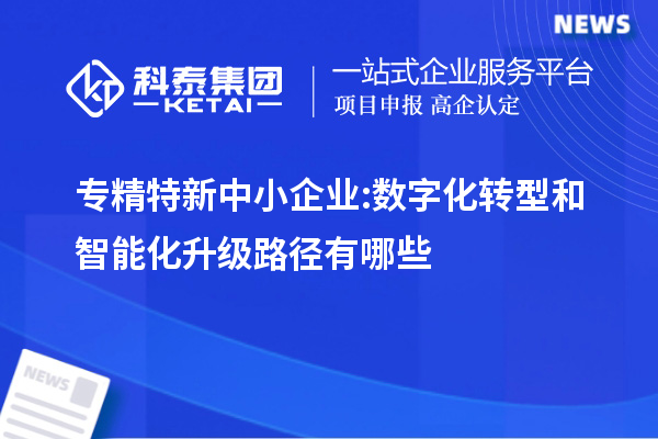 專精特新中小企業(yè):數(shù)字化轉(zhuǎn)型和智能化升級路徑有哪些