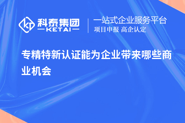專(zhuān)精特新認(rèn)證能為企業(yè)帶來(lái)哪些商業(yè)機(jī)會(huì)
