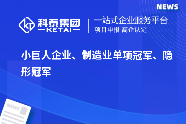 小巨人企業(yè)、制造業(yè)單項(xiàng)冠軍、隱形冠軍