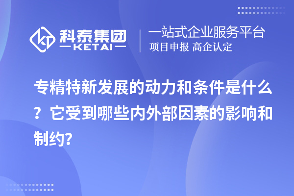 專精特新發(fā)展的動(dòng)力和條件是什么？它受到哪些內(nèi)外部因素的影響和制約？