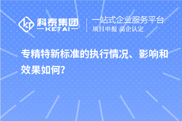 專(zhuān)精特新標(biāo)準(zhǔn)的執(zhí)行情況、影響和效果如何？