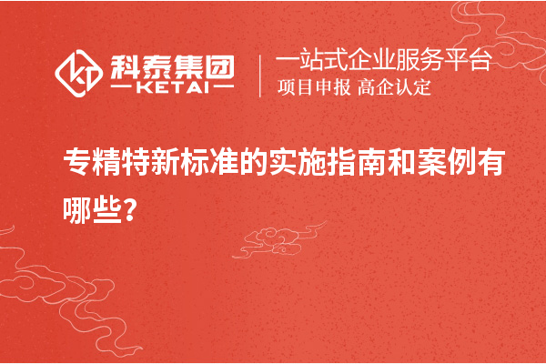 專精特新標(biāo)準(zhǔn)的實(shí)施指南和案例有哪些？