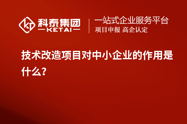 技術(shù)改造項(xiàng)目對(duì)中小企業(yè)的作用是什么？