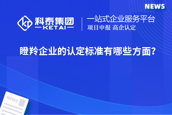 瞪羚企業(yè)的認(rèn)定標(biāo)準(zhǔn)有哪些方面？