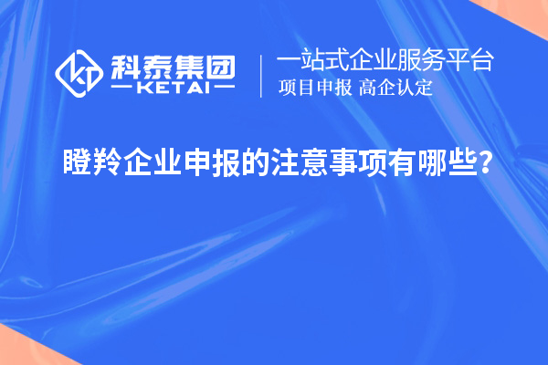 瞪羚企業(yè)申報(bào)的注意事項(xiàng)有哪些？