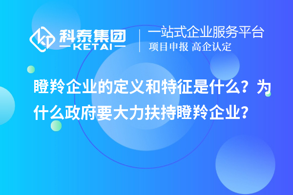 瞪羚企業(yè)的定義和特征是什么？為什么政府要大力扶持瞪羚企業(yè)？
