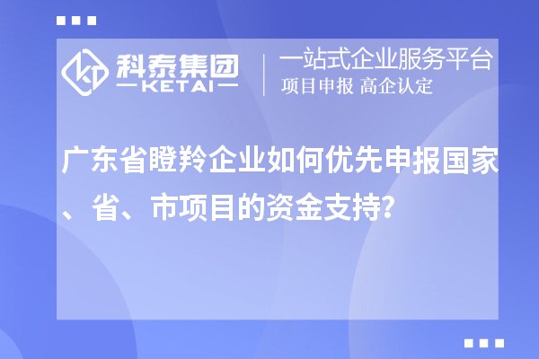 廣東省瞪羚企業(yè)如何優(yōu)先申報國家、省、市項目的資金支持？