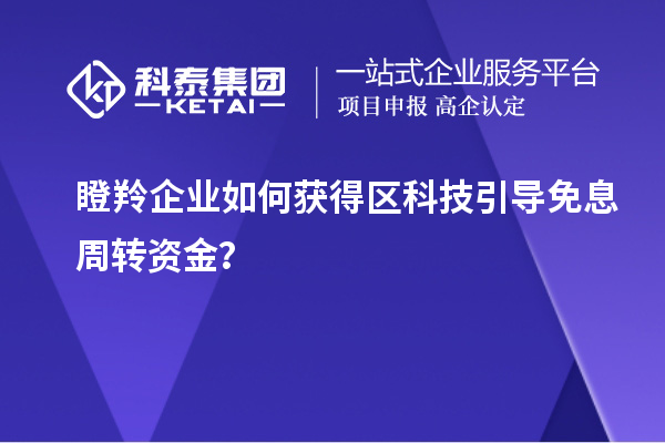 瞪羚企業(yè)如何獲得區(qū)科技引導(dǎo)免息周轉(zhuǎn)資金？