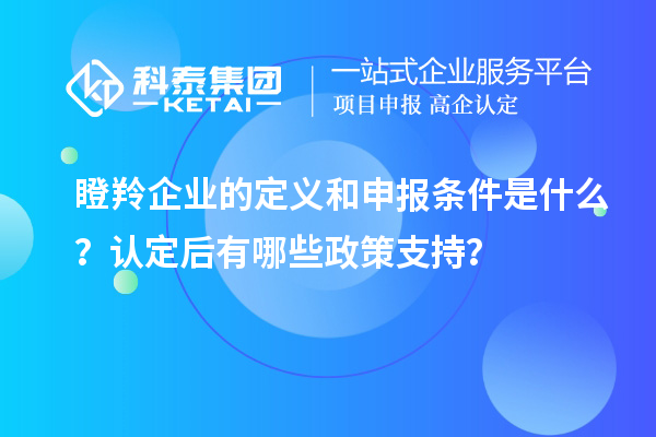 瞪羚企業(yè)的定義和申報條件是什么？認定后有哪些政策支持？