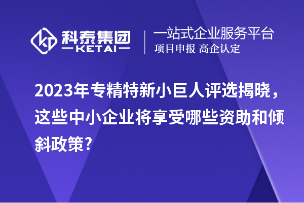 2023年專精特新小巨人評(píng)選揭曉，這些中小企業(yè)將享受哪些資助和傾斜政策?