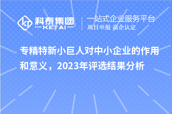 專精特新小巨人對中小企業(yè)的作用和意義，2023年評選結果分析