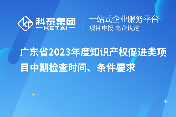廣東省2023年度知識(shí)產(chǎn)權(quán)促進(jìn)類項(xiàng)目中期檢查時(shí)間、條件要求