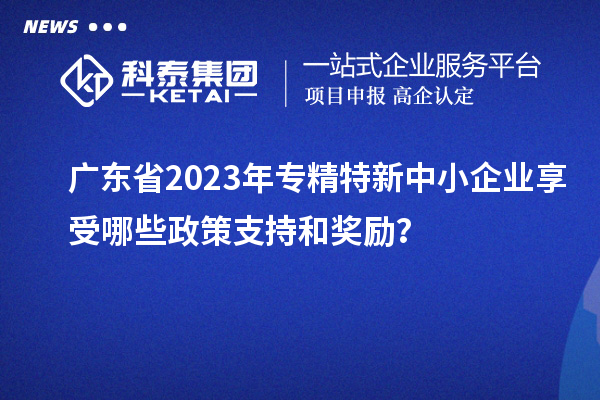 廣東省2023年專(zhuān)精特新中小企業(yè)享受哪些政策支持和獎(jiǎng)勵(lì)？