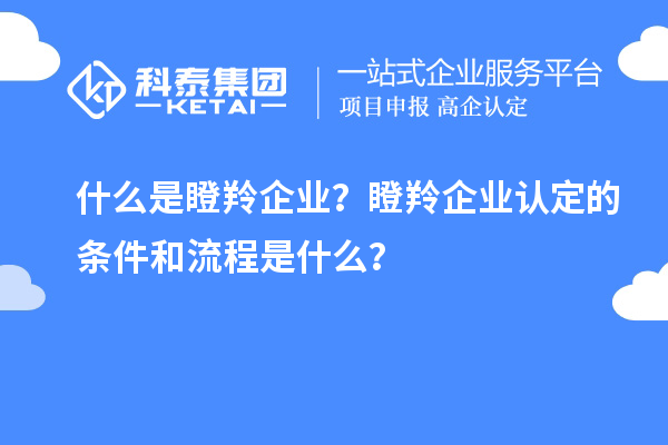 什么是瞪羚企業(yè)？<a href=http://www.qiyeqqexmail.cn/fuwu/dengling.html target=_blank class=infotextkey>瞪羚企業(yè)認(rèn)定</a>的條件和流程是什么？