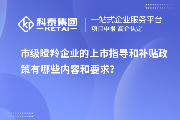 市級瞪羚企業(yè)的上市指導(dǎo)和補貼政策有哪些內(nèi)容和要求？