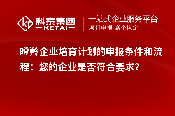 瞪羚企業(yè)培育計(jì)劃的申報(bào)條件和流程：您的企業(yè)是否符合要求？