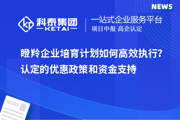 瞪羚企業(yè)培育計(jì)劃如何高效執(zhí)行？認(rèn)定的優(yōu)惠政策和資金支持