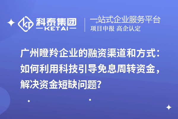 廣州瞪羚企業(yè)的融資渠道和方式：如何利用科技引導免息周轉(zhuǎn)資金，解決資金短缺問題？