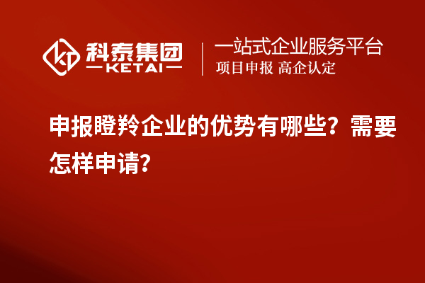 申報瞪羚企業(yè)的優(yōu)勢有哪些？需要怎樣申請？