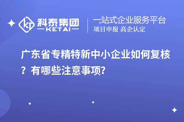 廣東省專精特新中小企業(yè)如何復(fù)核？有哪些注意事項？