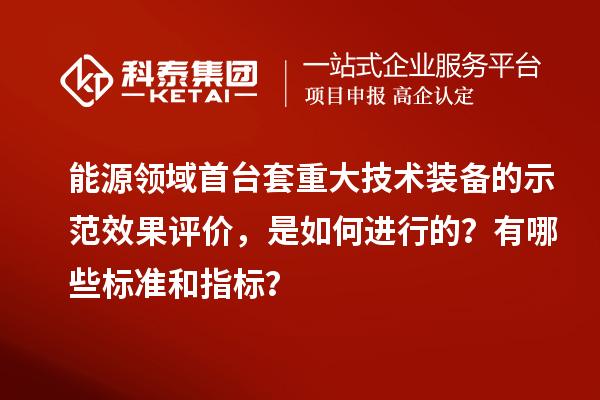 能源領(lǐng)域首臺套重大技術(shù)裝備的示范效果評價(jià)，是如何進(jìn)行的？有哪些標(biāo)準(zhǔn)和指標(biāo)？