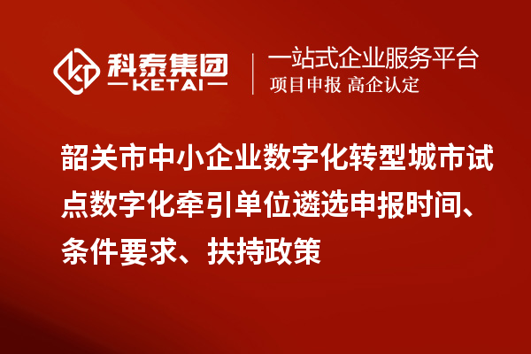 韶關市中小企業(yè)數(shù)字化轉(zhuǎn)型城市試點數(shù)字化牽引單位遴選申報時間、條件要求、扶持政策