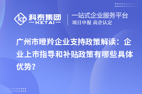 廣州市瞪羚企業(yè)支持政策解讀：企業(yè)上市指導和補貼政策有哪些具體優(yōu)勢？