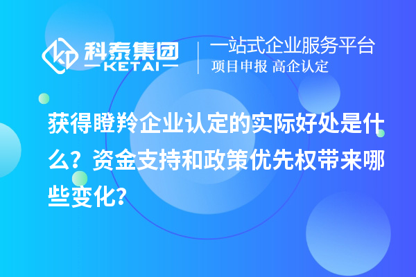 獲得瞪羚企業(yè)認(rèn)定的實(shí)際好處是什么？資金支持和政策優(yōu)先權(quán)帶來哪些變化？