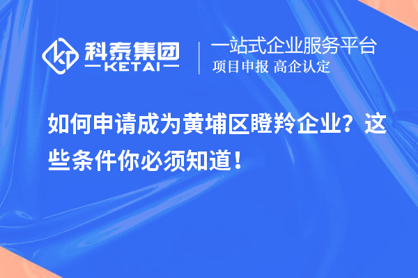 如何申請(qǐng)成為黃埔區(qū)瞪羚企業(yè)？這些條件你必須知道！