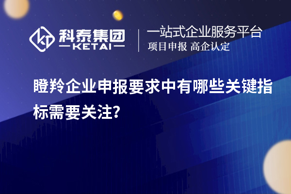 瞪羚企業(yè)申報(bào)要求中有哪些關(guān)鍵指標(biāo)需要關(guān)注？