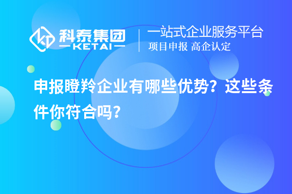 申報瞪羚企業(yè)有哪些優(yōu)勢？這些條件你符合嗎？
