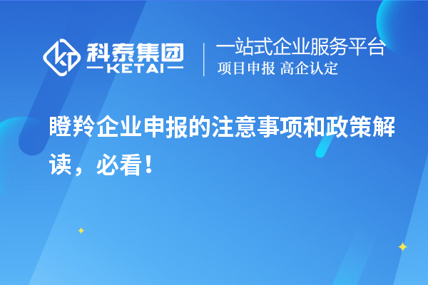 瞪羚企業(yè)申報(bào)的注意事項(xiàng)和政策解讀，必看！