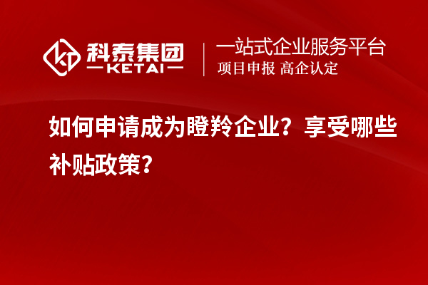 如何申請(qǐng)成為瞪羚企業(yè)？享受哪些補(bǔ)貼政策？