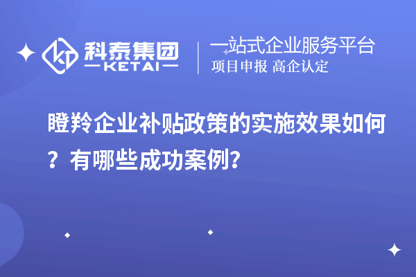 瞪羚企業(yè)補(bǔ)貼政策的實(shí)施效果如何？有哪些成功案例？