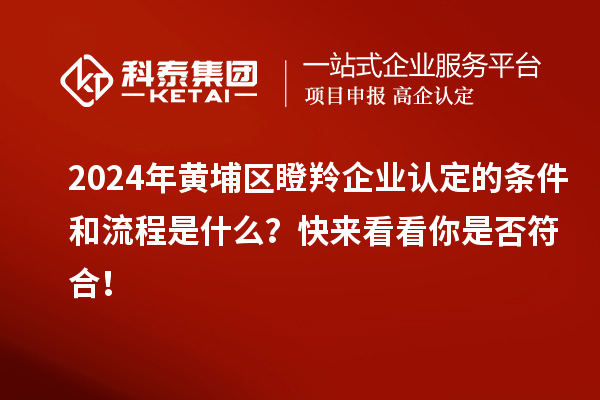 2024年黃埔區(qū)<a href=http://www.qiyeqqexmail.cn/fuwu/dengling.html target=_blank class=infotextkey>瞪羚企業(yè)認(rèn)定</a>的條件和流程是什么？快來(lái)看看你是否符合！