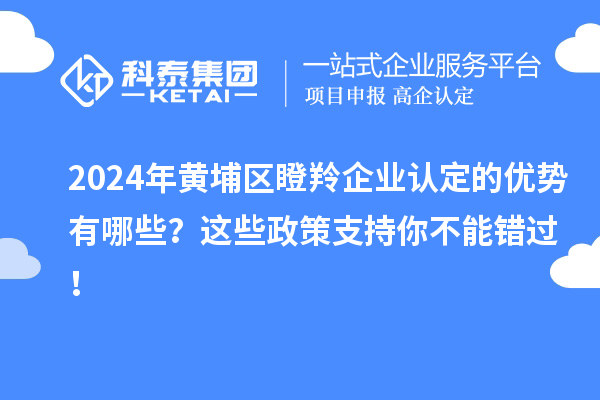 2024年黃埔區(qū)瞪羚企業(yè)認(rèn)定的優(yōu)勢有哪些？這些政策支持你不能錯(cuò)過！