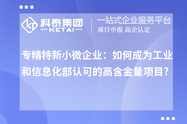 專精特新小微企業(yè)：如何成為工業(yè)和信息化部認(rèn)可的高含金量項目?