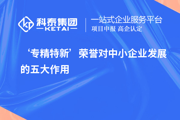 ‘專精特新’榮譽(yù)對(duì)中小企業(yè)發(fā)展的五大作用