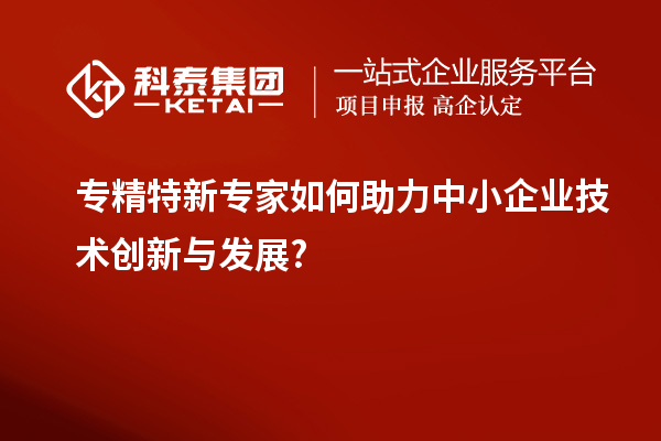 專精特新專家如何助力中小企業(yè)技術創(chuàng)新與發(fā)展?