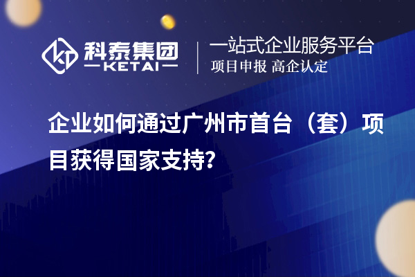企業(yè)如何通過(guò)廣州市首臺(tái)（套）項(xiàng)目獲得國(guó)家支持？
