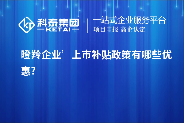 瞪羚企業(yè)’上市補(bǔ)貼政策有哪些優(yōu)惠?