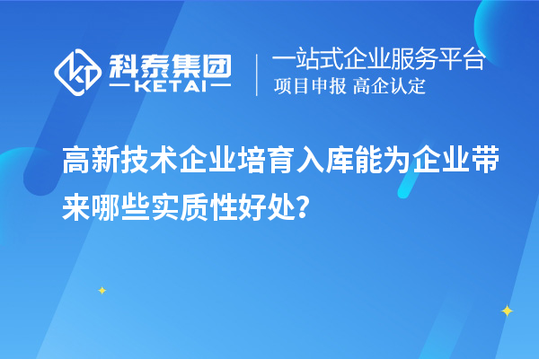 高新技術(shù)企業(yè)培育入庫能為企業(yè)帶來哪些實(shí)質(zhì)性好處？