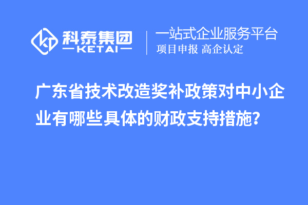 廣東省技術(shù)改造獎(jiǎng)補(bǔ)政策對(duì)中小企業(yè)有哪些具體的財(cái)政支持措施？