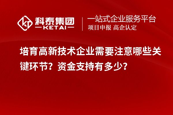 培育高新技術(shù)企業(yè)需要注意哪些關(guān)鍵環(huán)節(jié)？資金支持有多少？