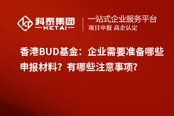 香港BUD基金：企業(yè)需要準(zhǔn)備哪些申報(bào)材料？有哪些注意事項(xiàng)？