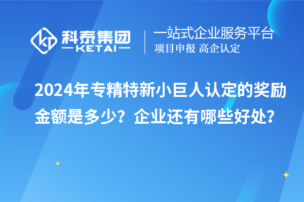 2024年專精特新小巨人認(rèn)定的獎勵金額是多少？企業(yè)還有哪些好處？